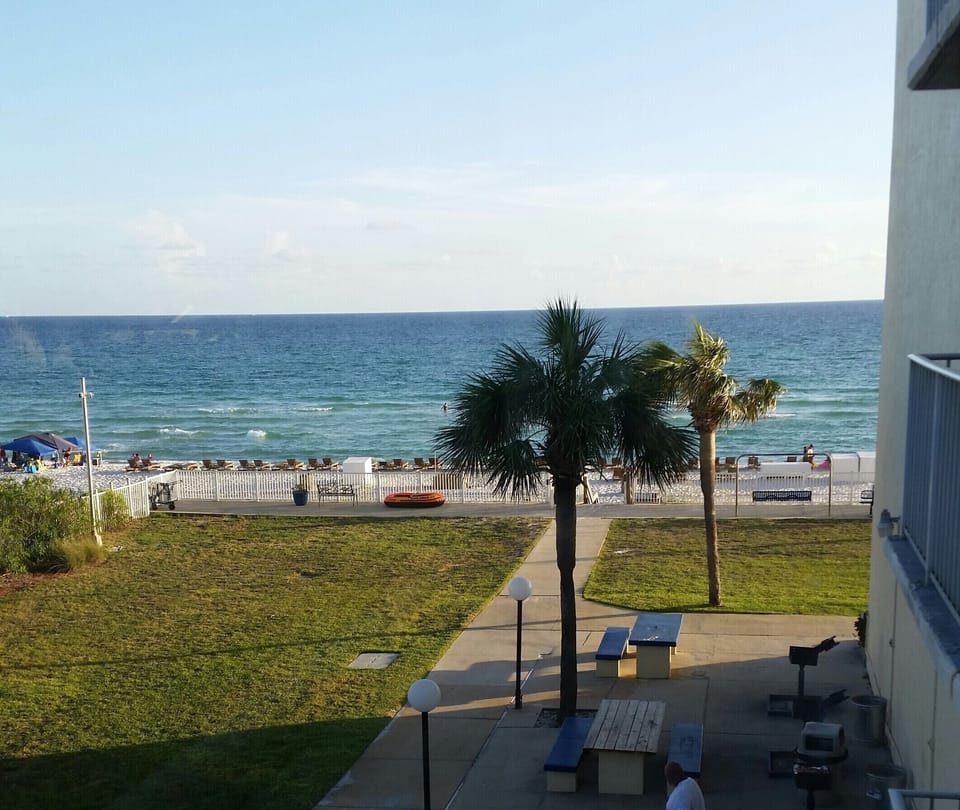 View from my Balcony