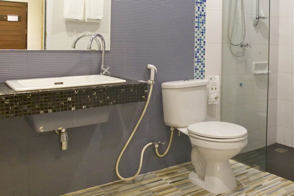 Shower, free toiletries, hair dryer, towels