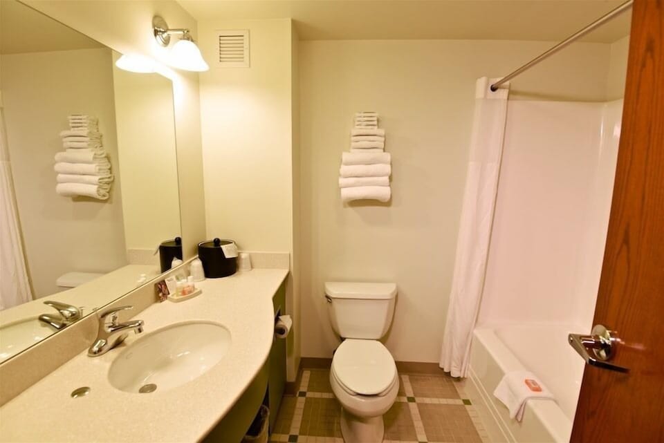 Combined shower/tub, free toiletries, hair dryer, towels