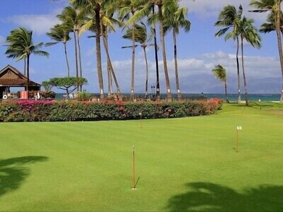 Practice your swing! Papakea has 2 putting greens!