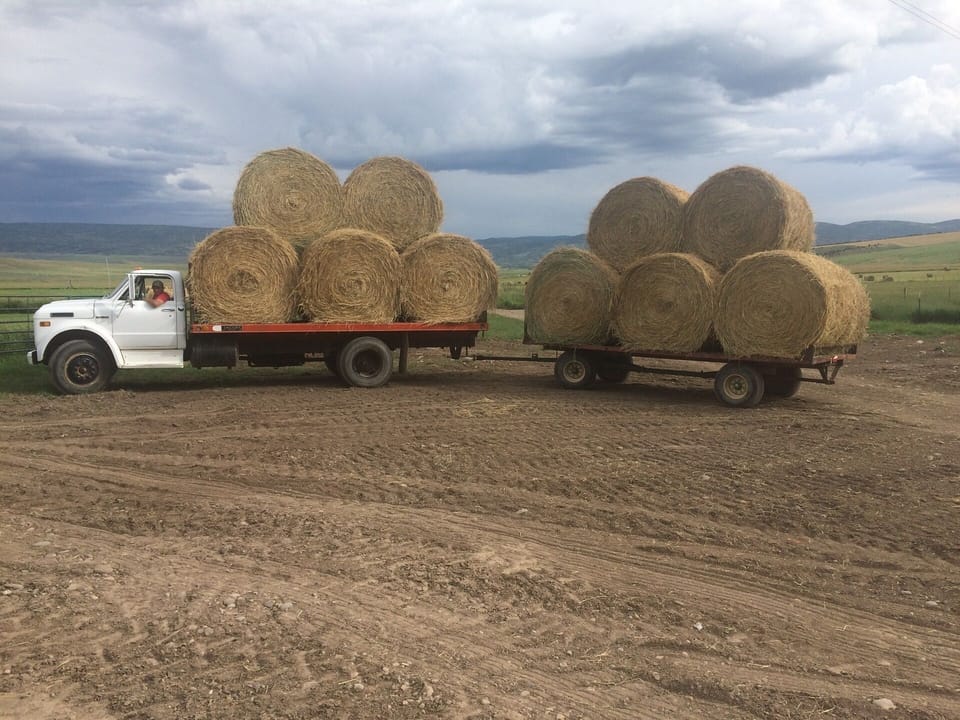 It's all about water and hay in this business!