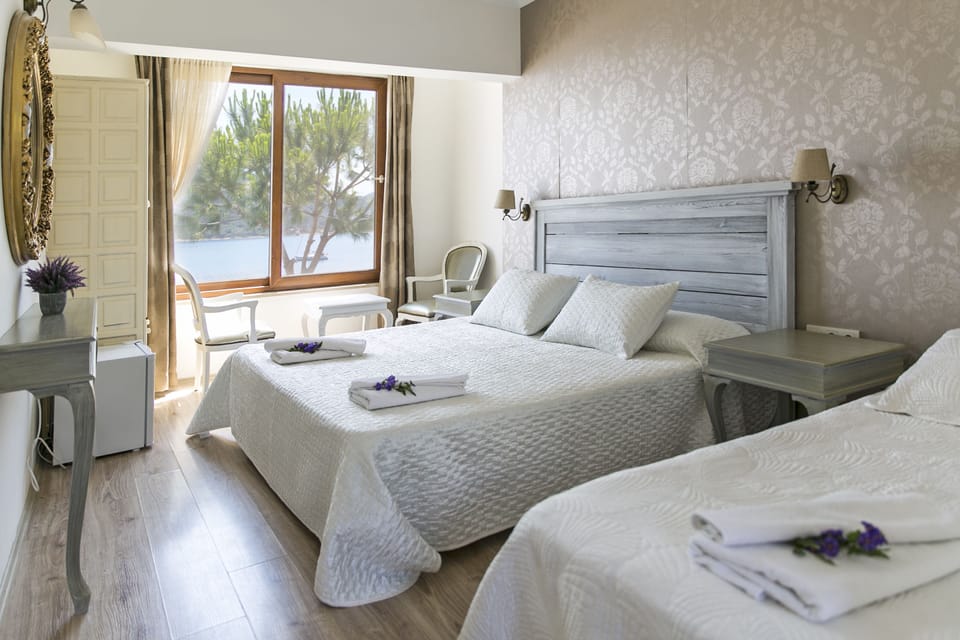 Standard Triple Room | Minibar, iron/ironing board (on request)