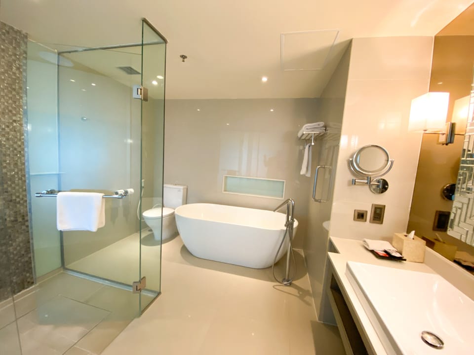 Shower, free toiletries, hair dryer, bathrobes