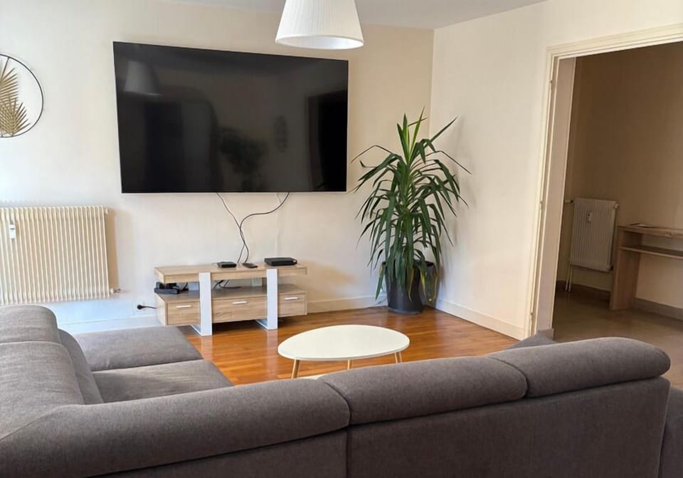 Comfort Apartment | Living area | 32-inch TV with digital channels