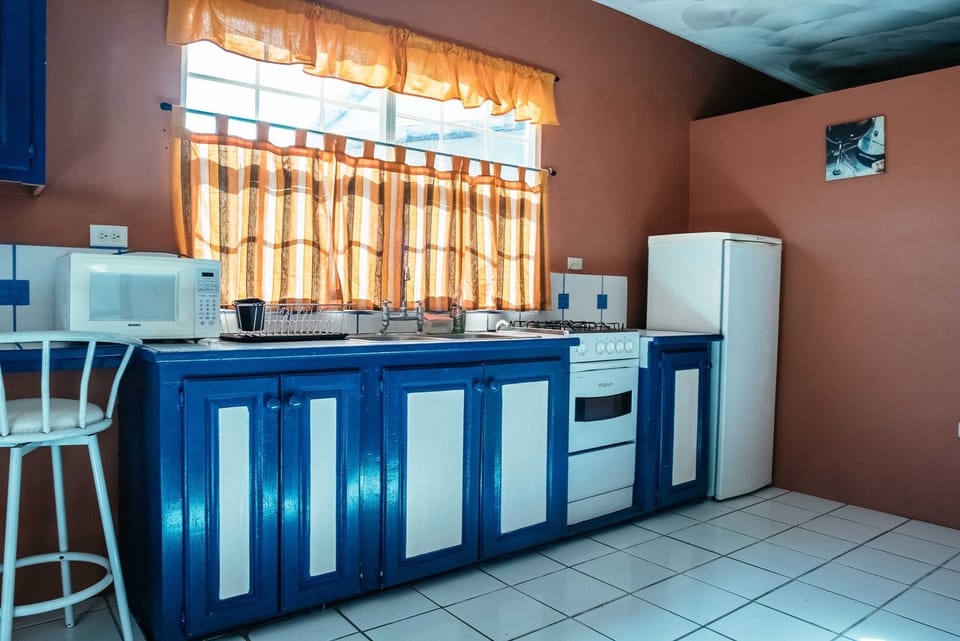 Full-size fridge, microwave, stovetop, electric kettle