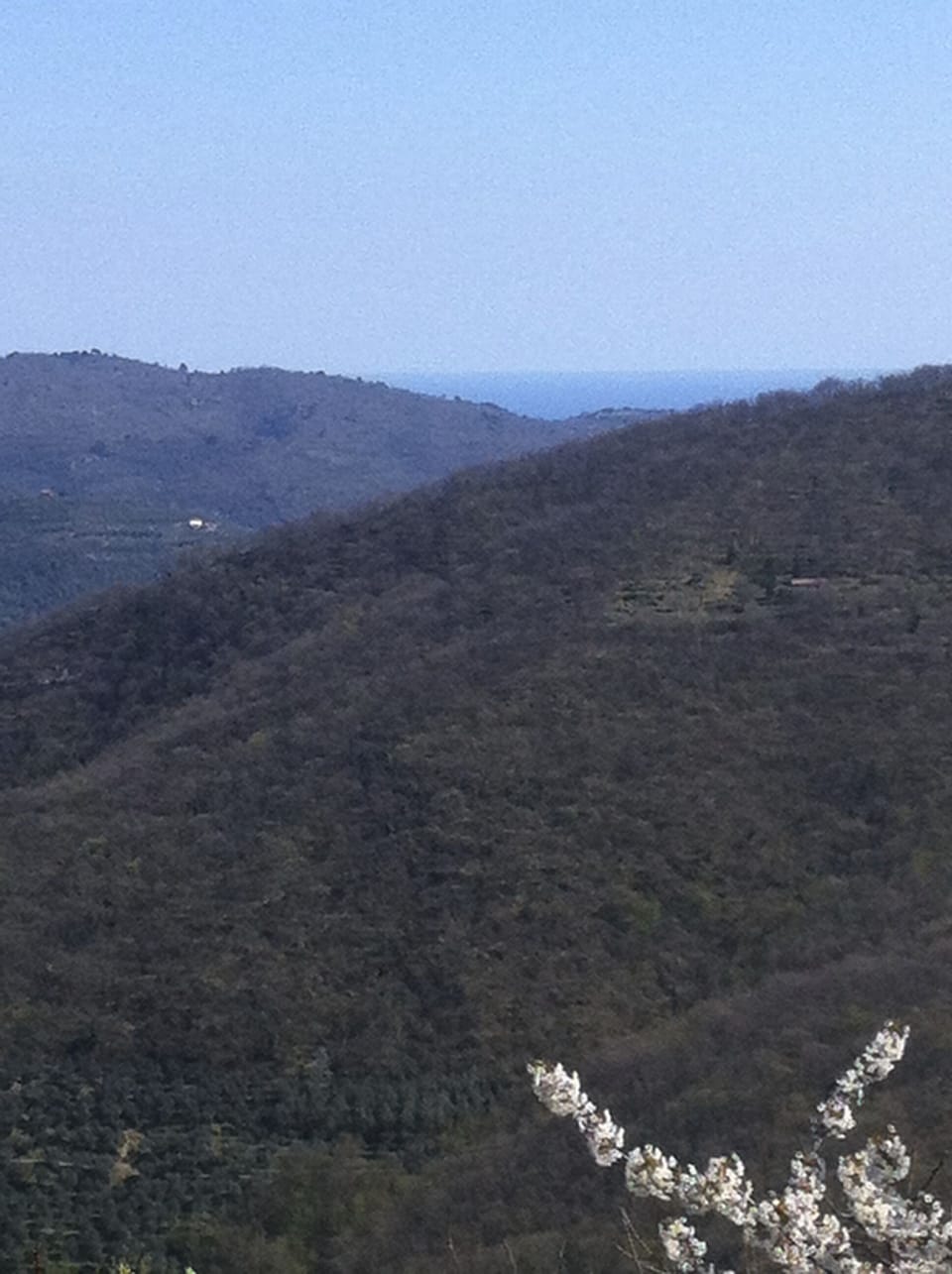 Lovely cottage 'Il Ciliegio': relax, taste and well-being Cottage in Liguria