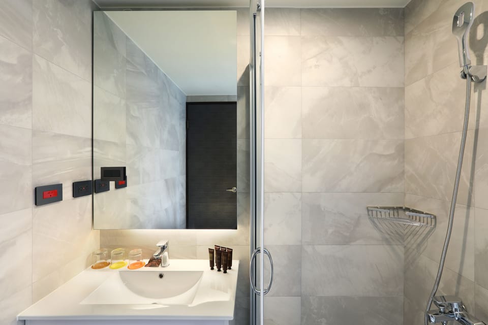 Shower, hair dryer, bidet, towels