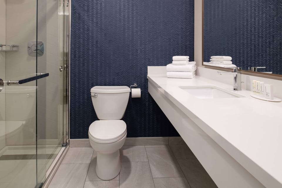 Combined shower/tub, free toiletries, hair dryer, towels