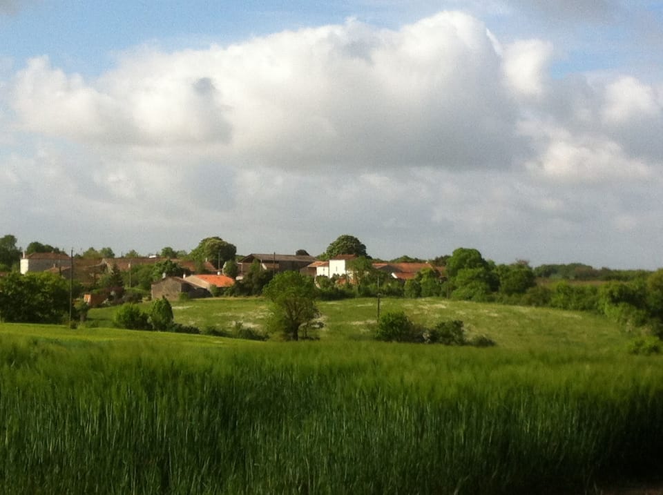 Springtime view from the road to Chef Boutonne