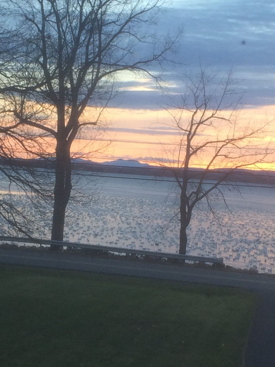 2014 fall sunrise - geese came to visit for a spell