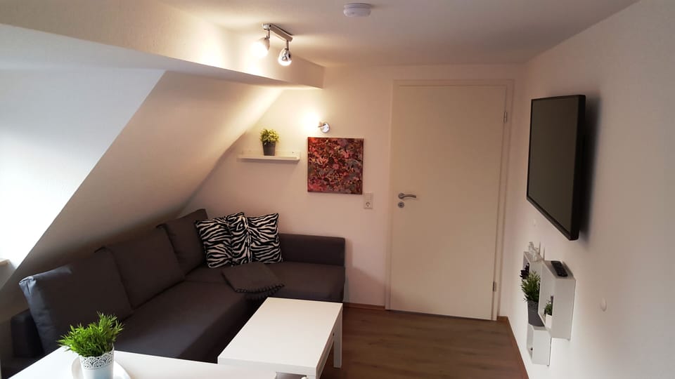 Livingroom with sofa bed and 48 "TV