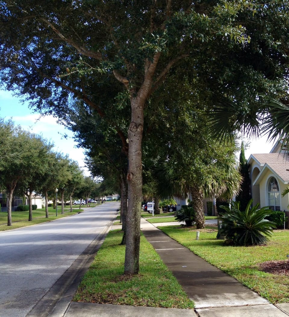 Private home located in quiet subdivision with sidewalks for walking/running 