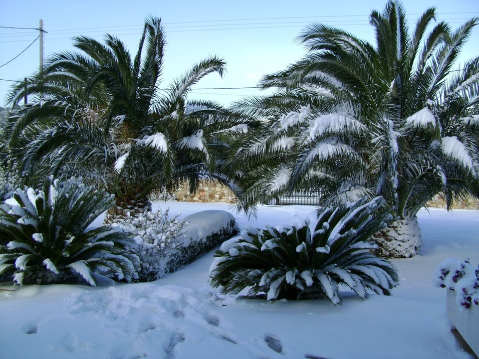 winter