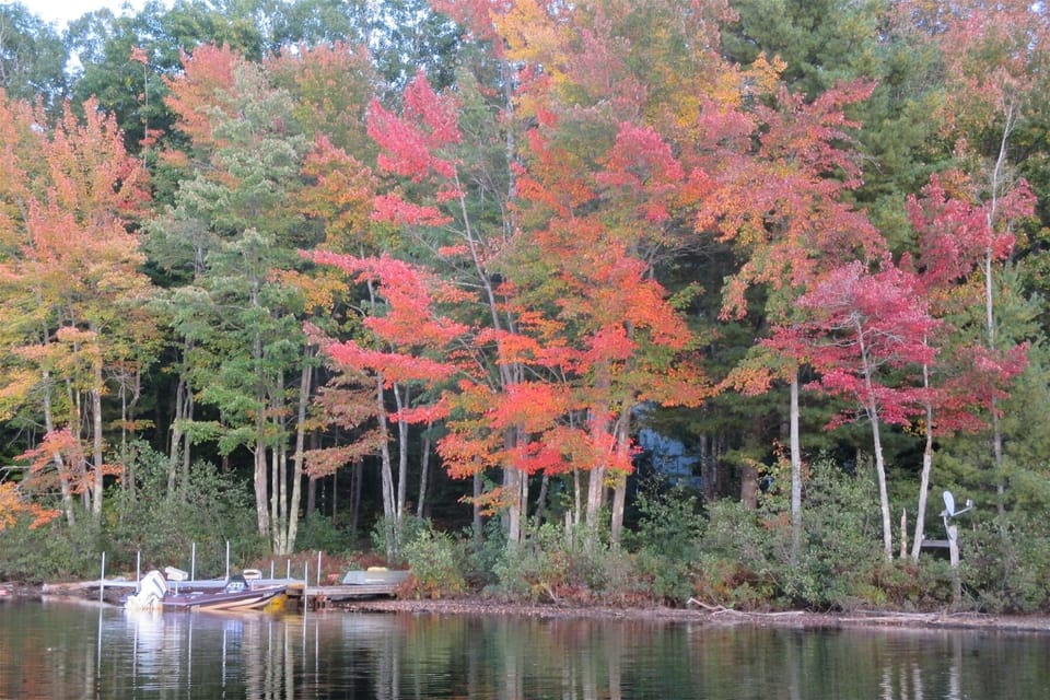 The fall colors are so beautiful