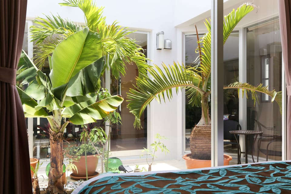 Villa | View from room