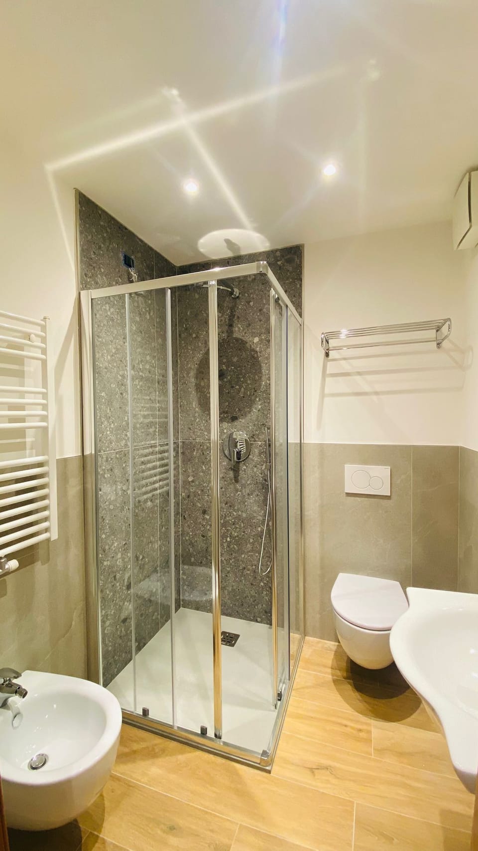 Shower, free toiletries, hair dryer, bidet