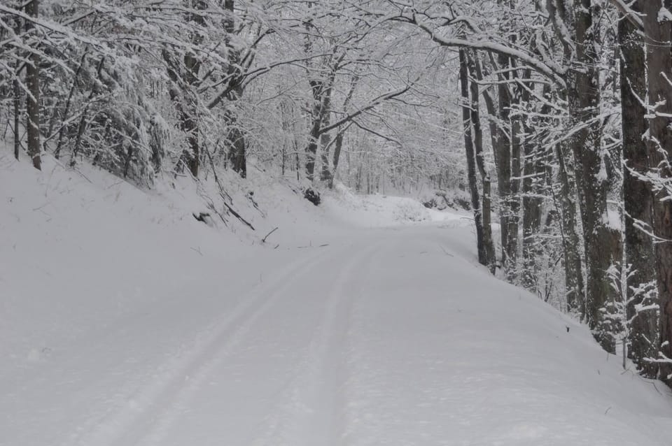 Winter on the Stuart Memorial Drive over Bickle's Knob.  Lots of cross-country skiing, very few people!
