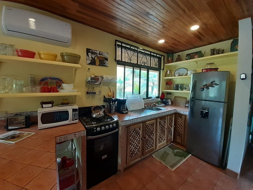Well equipped Kitchen including lots of extras