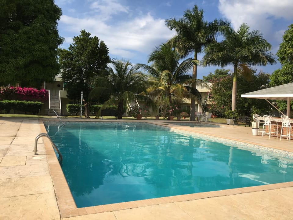Adult Pool