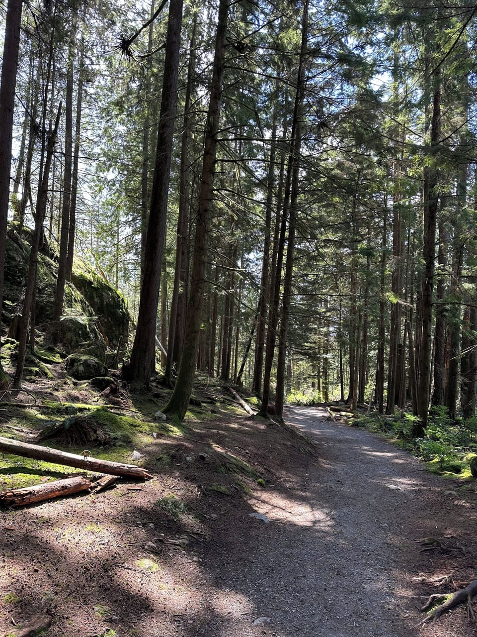 A typical trail within easy walking distance from our property.