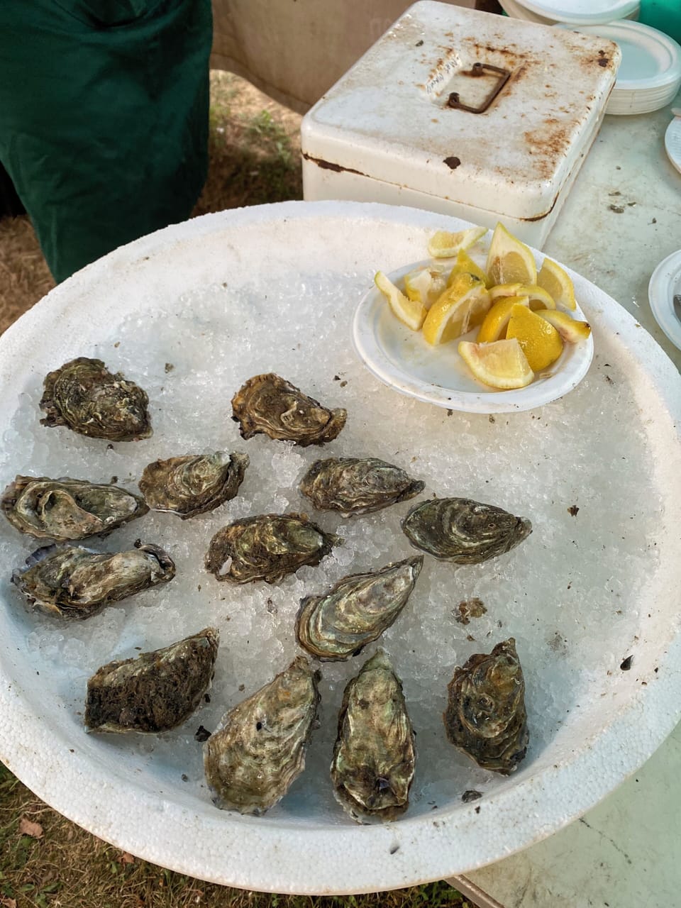 SOS Oysters