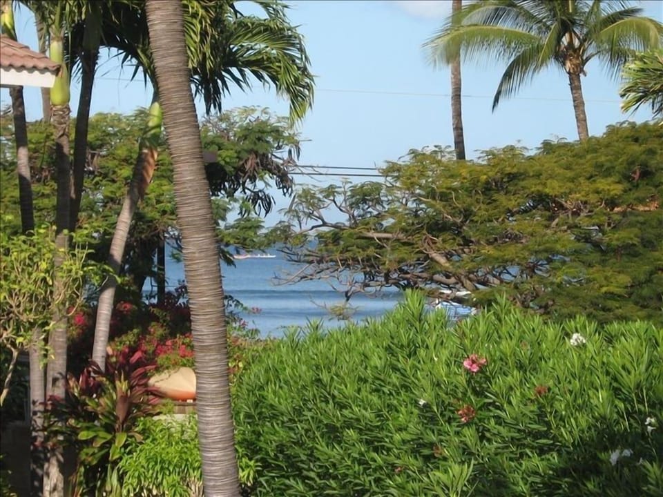 Peek-a-Boo Ocean View