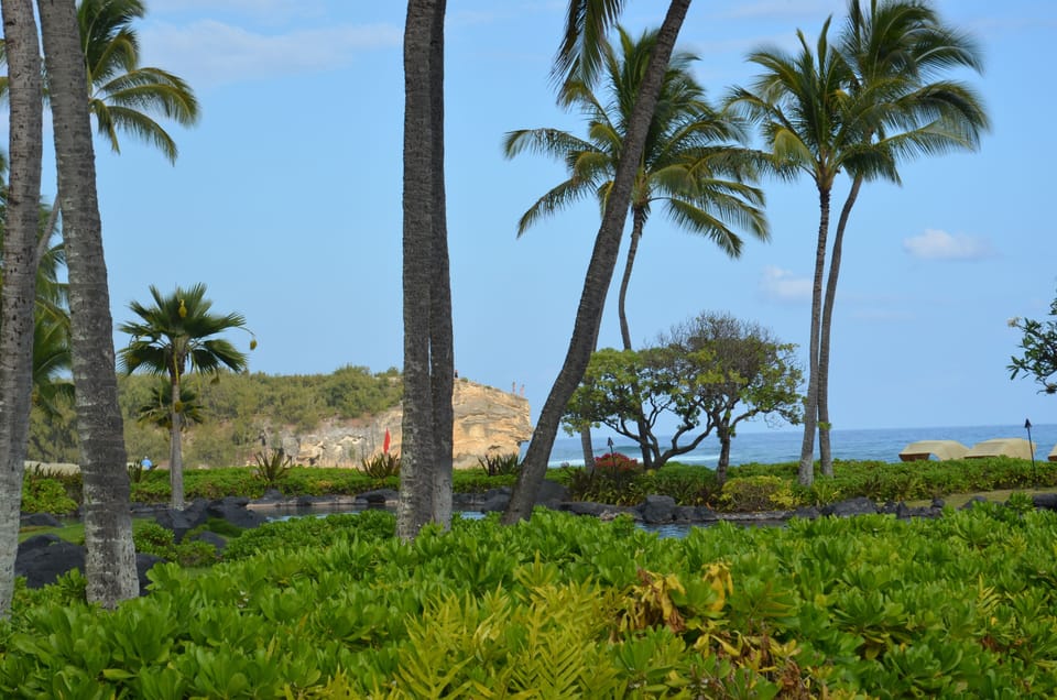 Take a drive to famous Poipu beach only 30 minutes away 