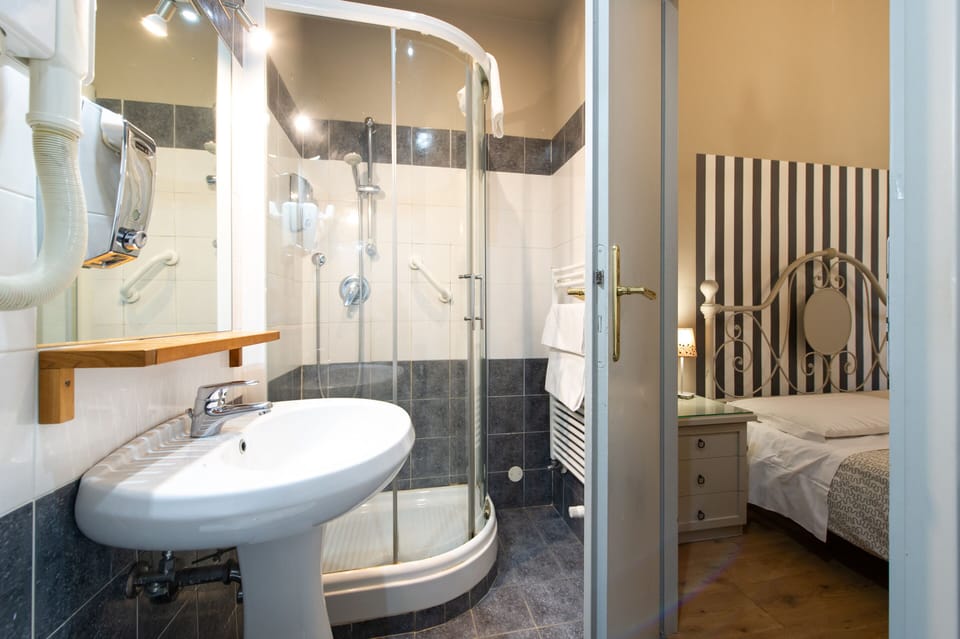 Deluxe Double Room | Bathroom | Shower, free toiletries, hair dryer, bidet