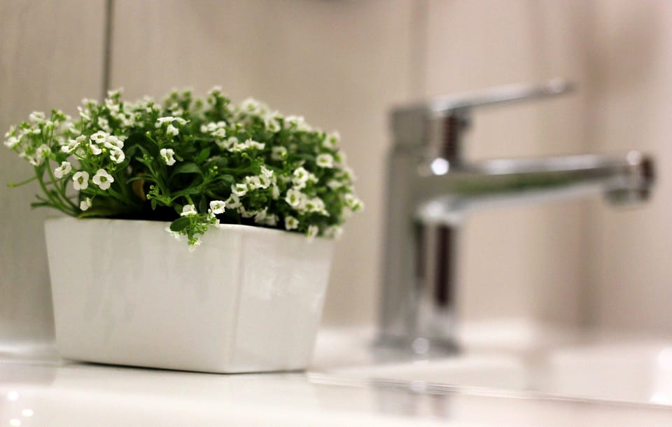 Queen Room | Bathroom | Shower, free toiletries, hair dryer, towels