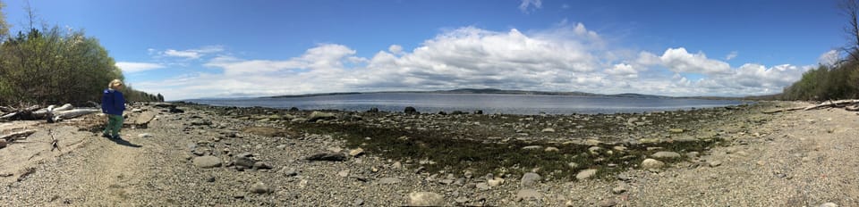 Plenty of beach to walk in peace and quiet