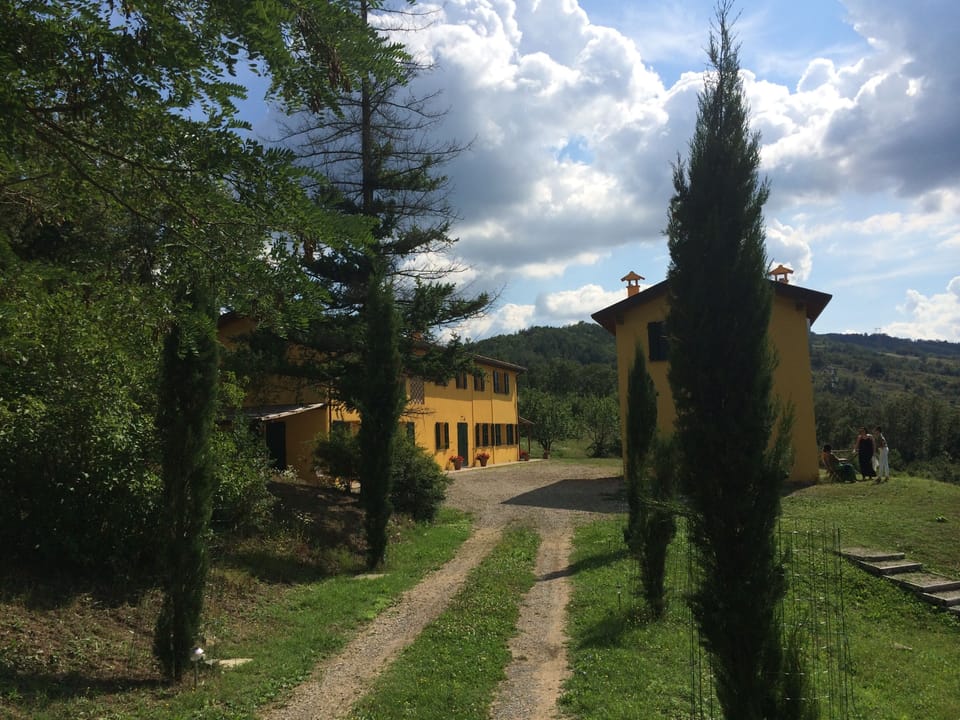 Great approach to the villa through cypress trees.