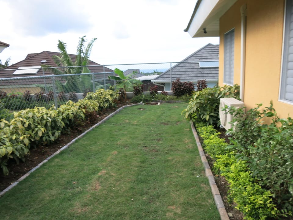 Backyard.