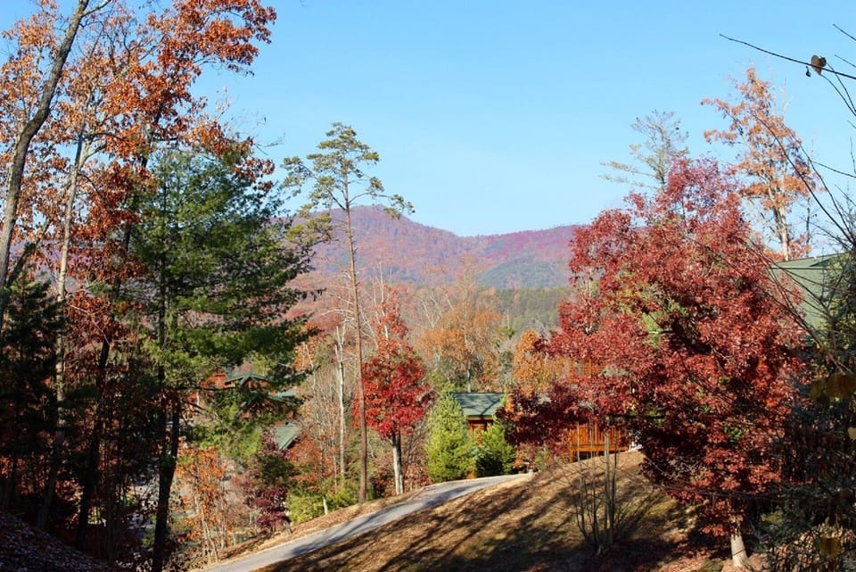 Mountain view from the front porch (Fall)