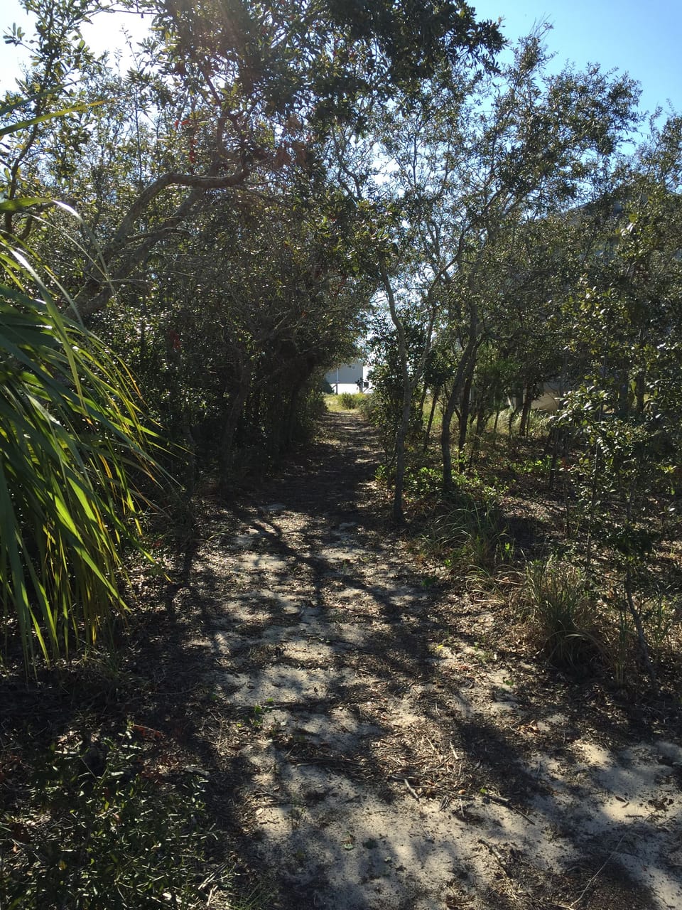 path to beach