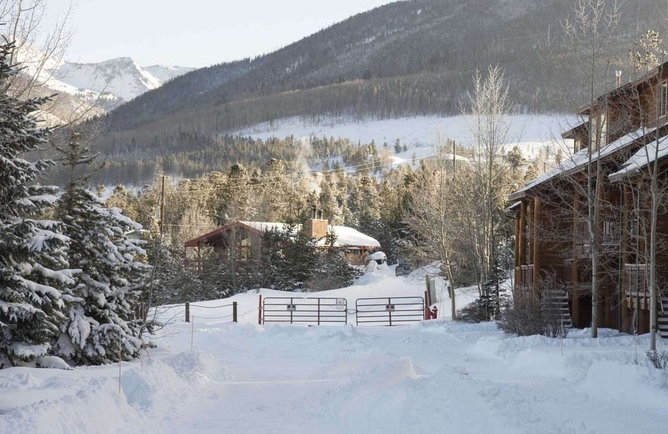 The other direction down the drive!