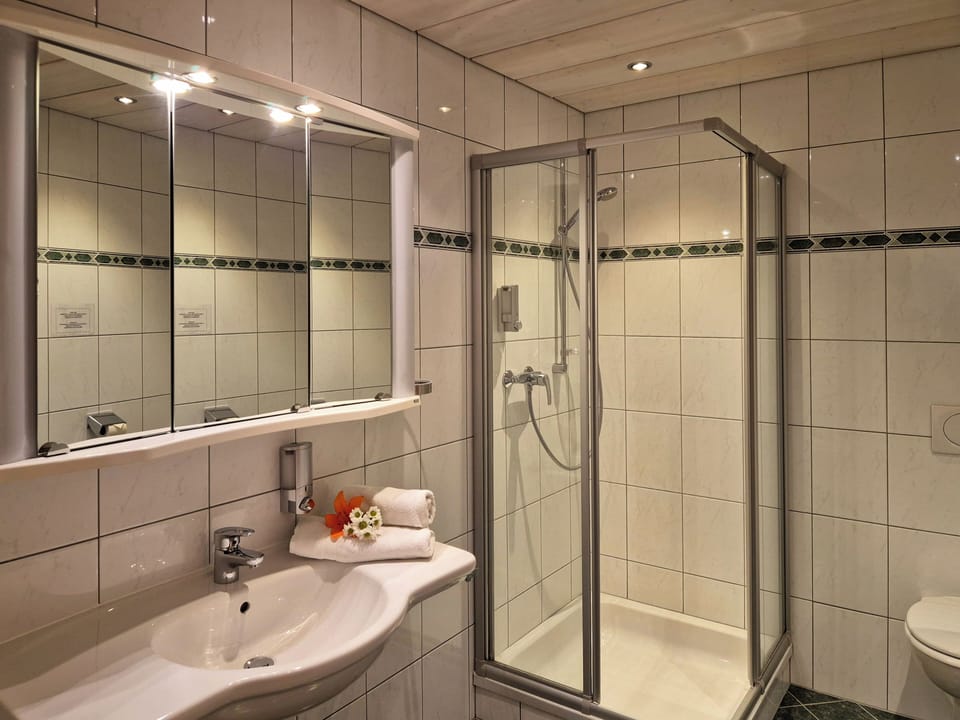 Double Room, Balcony, Mountain View | Bathroom | Shower, free toiletries, hair dryer, towels