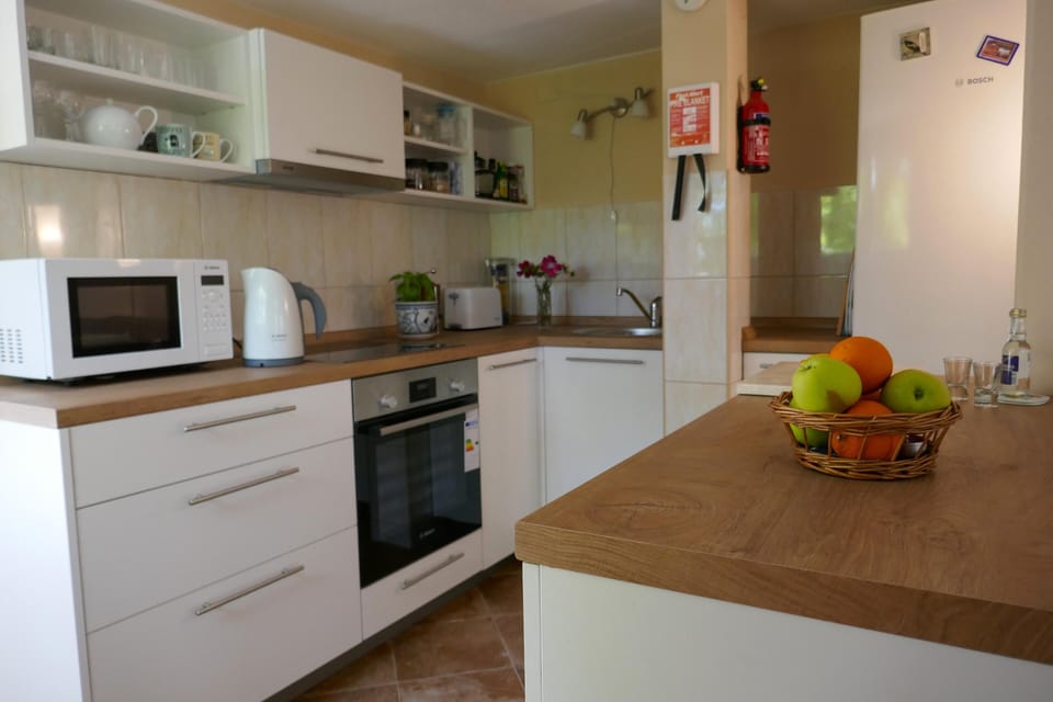 This is our brand-new kitchen in the EcoHouse studio.  June 2020