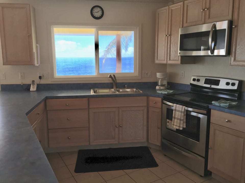 Modern Kitchen with new appliances