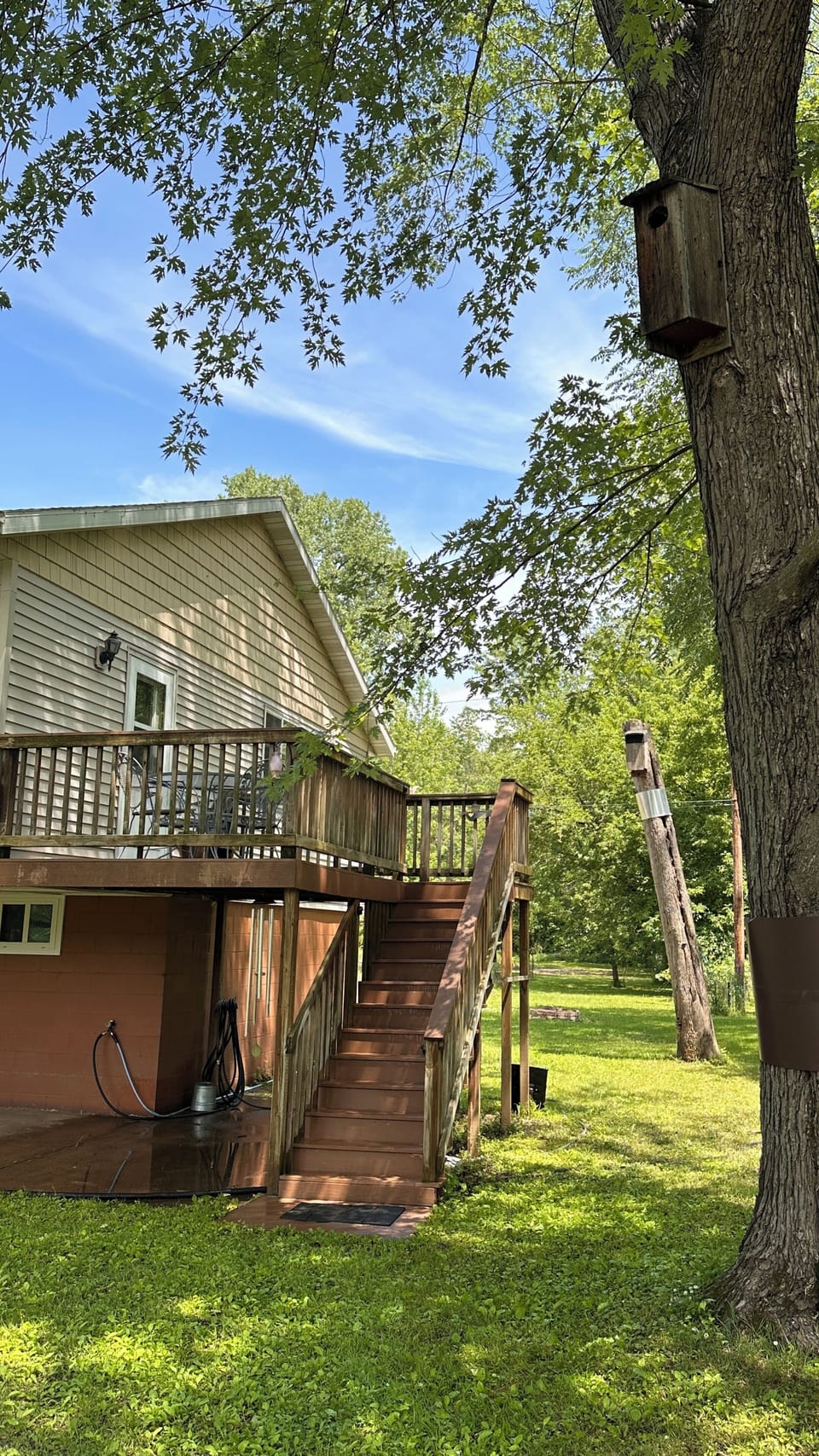 Deck