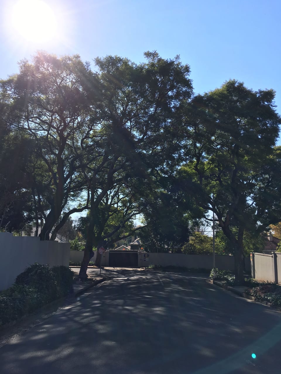 Front of property