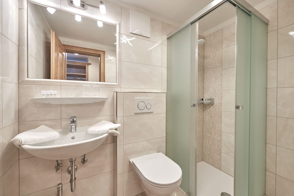 Shower, hair dryer, towels, toilet paper