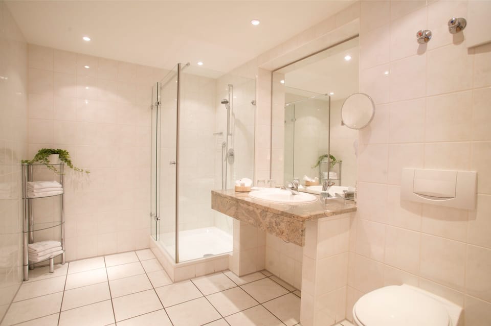 Shower, free toiletries, hair dryer, bathrobes