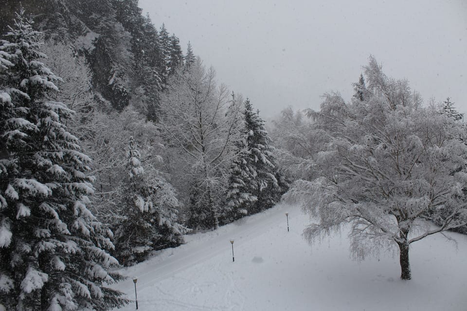 View from property
