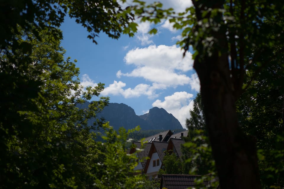 Mountain view