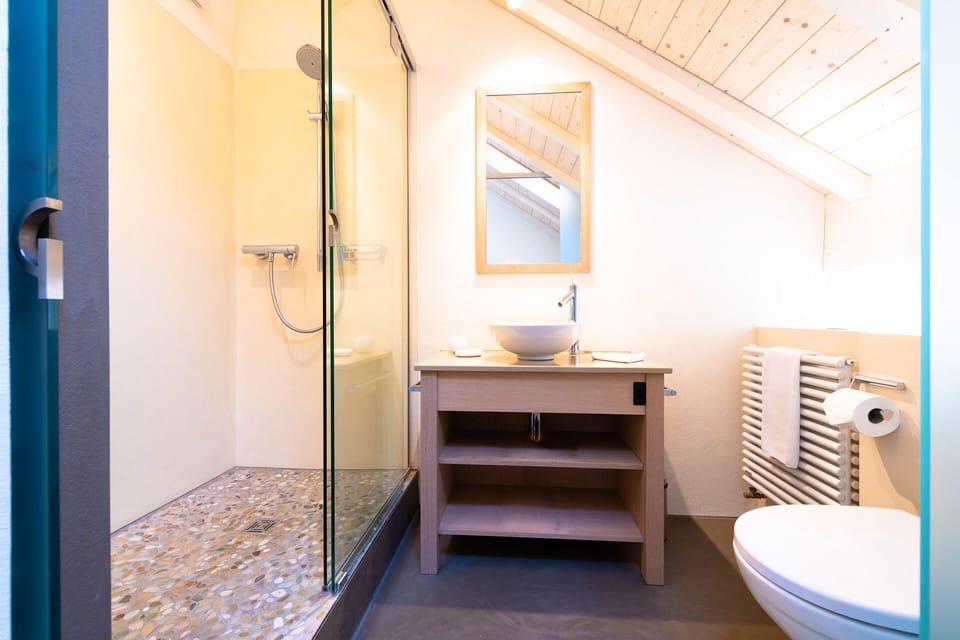 Single Room | Bathroom | Free toiletries, hair dryer, towels