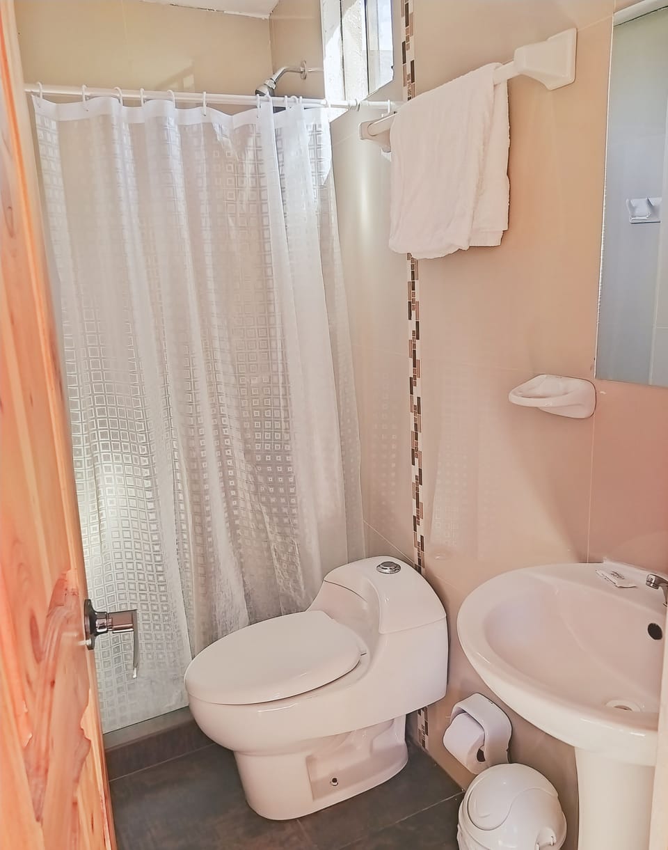 Twin Room | Bathroom | Shower, hair dryer (on request), towels