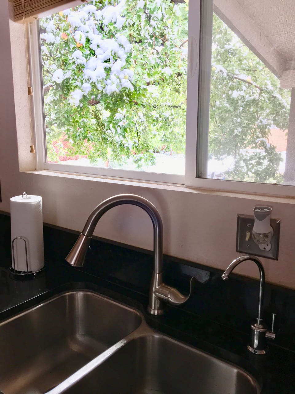 View of backyard from sink.