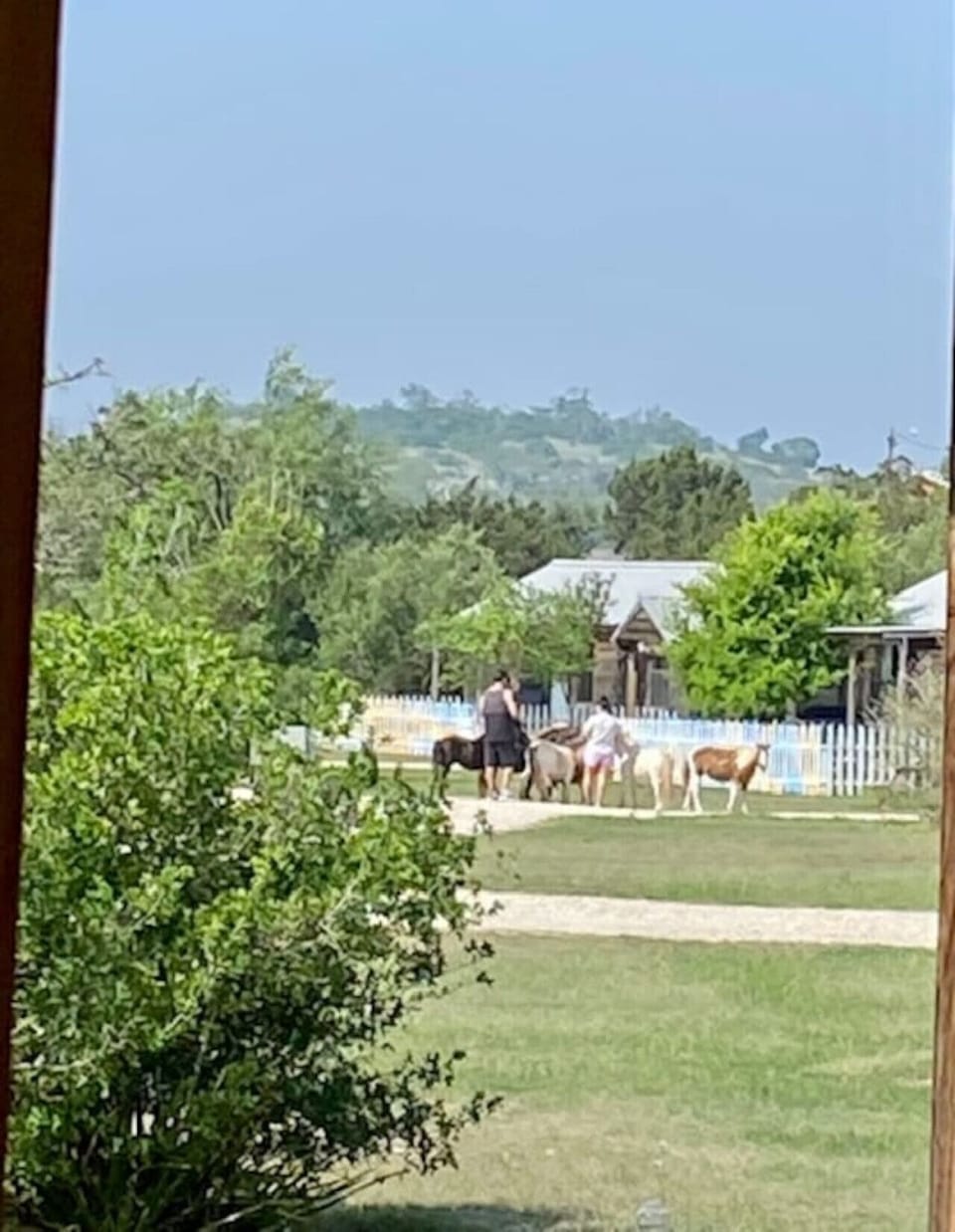 View from property