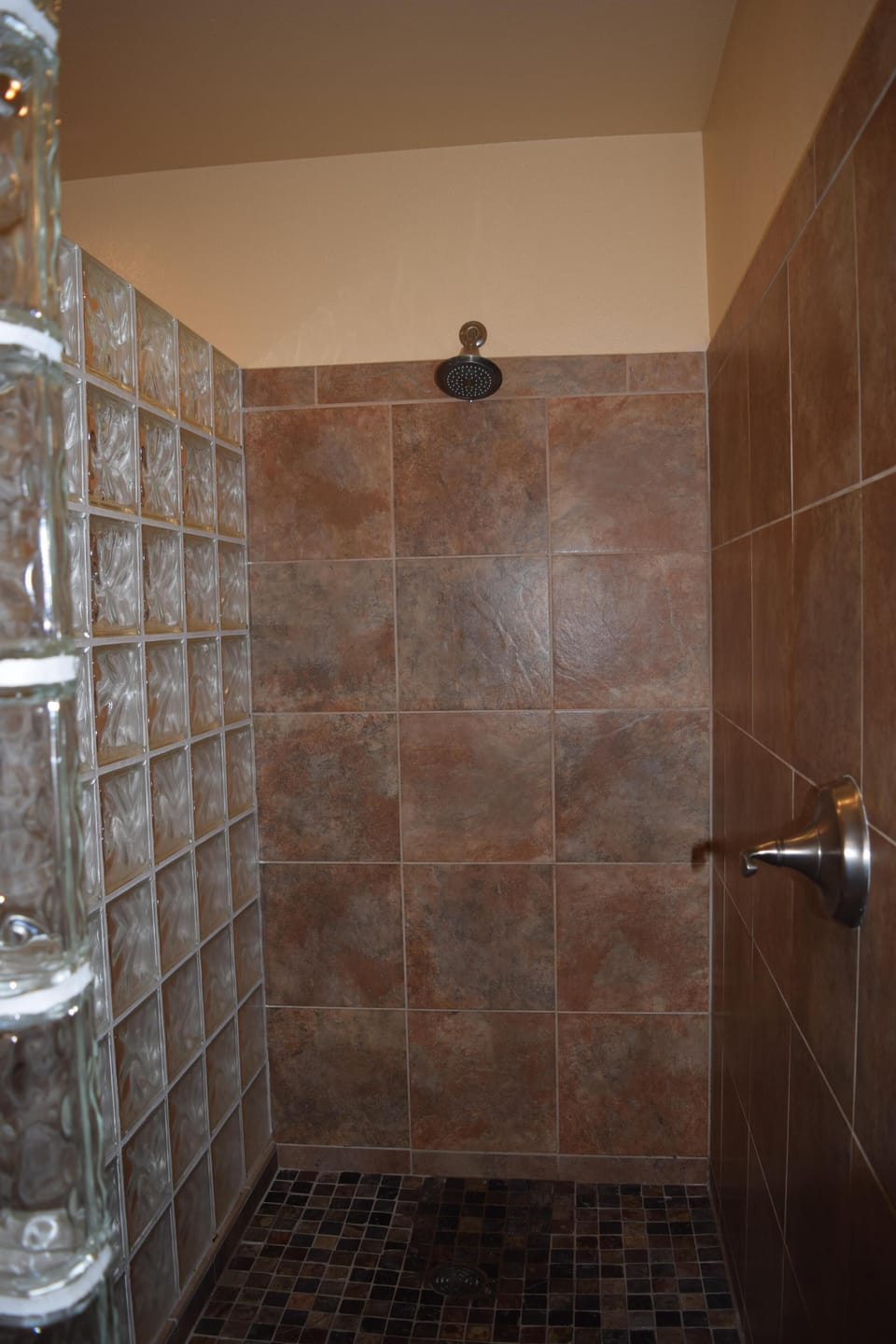 Large Walk-In Shower Enclosed by Glass Blocks.