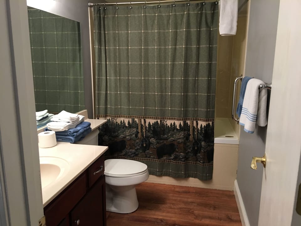 Master Bathroom.